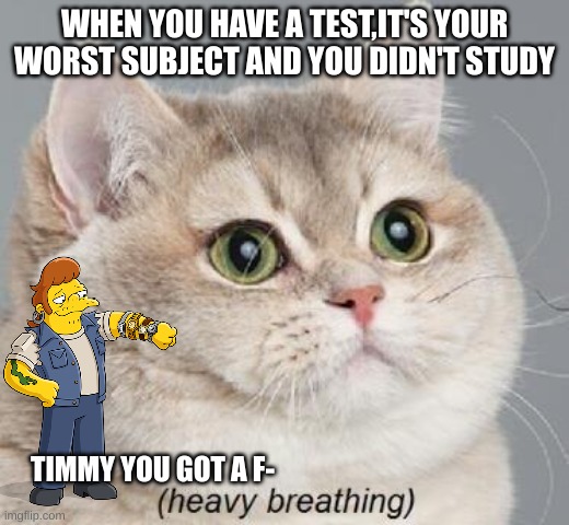 Heavy Breathing Cat | WHEN YOU HAVE A TEST,IT'S YOUR WORST SUBJECT AND YOU DIDN'T STUDY; TIMMY YOU GOT A F- | image tagged in memes,heavy breathing cat | made w/ Imgflip meme maker