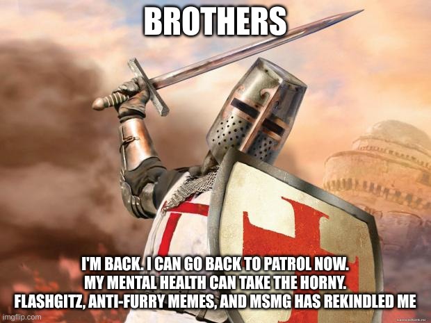 I'M BACK | BROTHERS; I'M BACK. I CAN GO BACK TO PATROL NOW. MY MENTAL HEALTH CAN TAKE THE HORNY. FLASHGITZ, ANTI-FURRY MEMES, AND MSMG HAS REKINDLED ME | image tagged in crusader | made w/ Imgflip meme maker