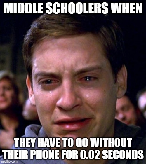 crying peter parker | MIDDLE SCHOOLERS WHEN; THEY HAVE TO GO WITHOUT THEIR PHONE FOR 0.02 SECONDS | image tagged in crying peter parker | made w/ Imgflip meme maker