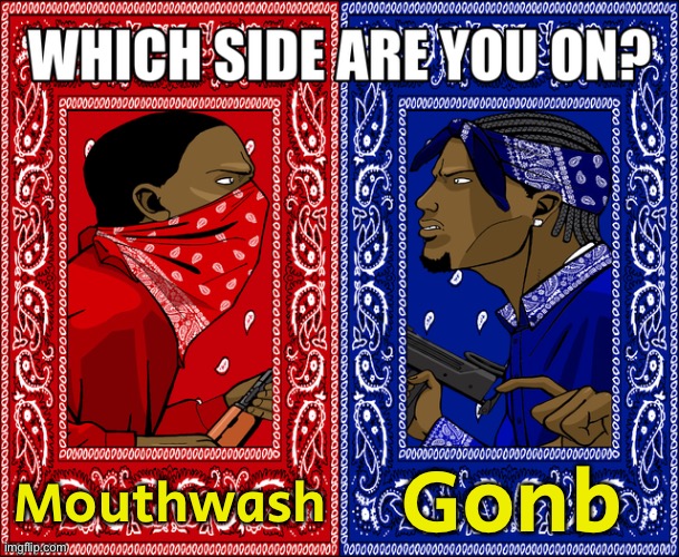 WHICH SIDE ARE YOU ON? | Mouthwash; Gonb | image tagged in which side are you on | made w/ Imgflip meme maker