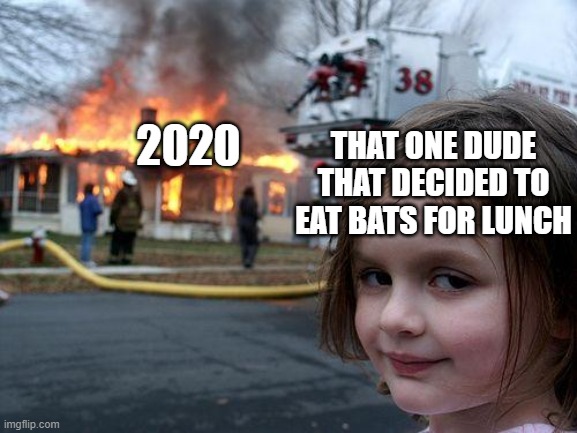 Disaster Girl | THAT ONE DUDE THAT DECIDED TO EAT BATS FOR LUNCH; 2020 | image tagged in memes,disaster girl | made w/ Imgflip meme maker