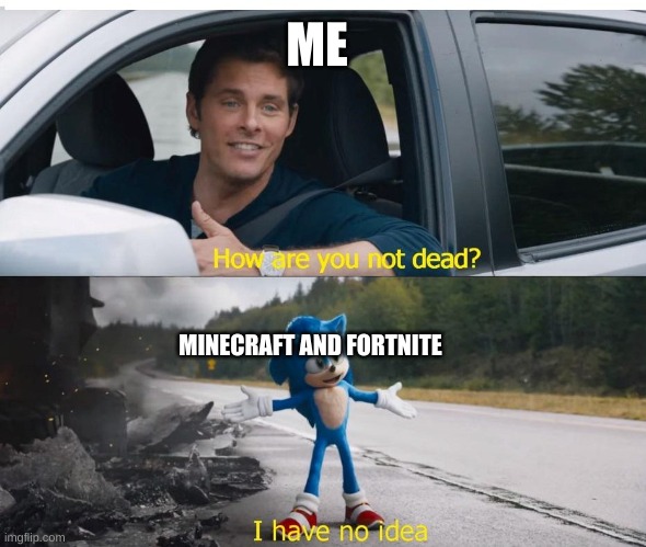sonic how are you not dead | ME; MINECRAFT AND FORTNITE | image tagged in sonic how are you not dead | made w/ Imgflip meme maker