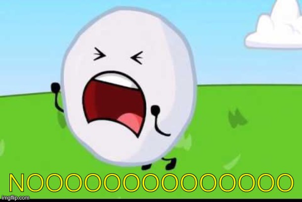BFDI Snowball NOOOOO | NOOOOOOOOOOOOOO | image tagged in bfdi snowball nooooo | made w/ Imgflip meme maker
