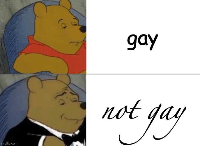 Tuxedo Winnie The Pooh | gay; not gay | image tagged in memes,tuxedo winnie the pooh,gay,christianity,sigma,giga chad | made w/ Imgflip meme maker