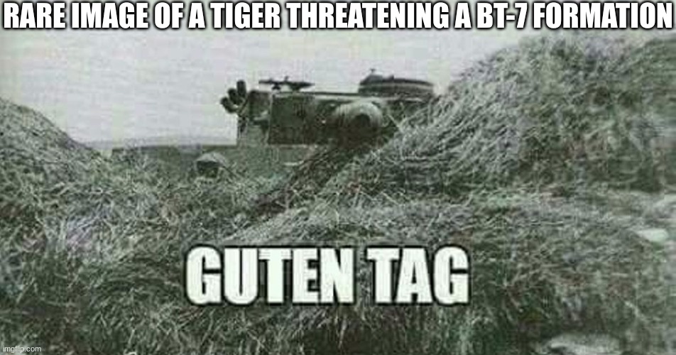 Seconds before disaster... | RARE IMAGE OF A TIGER THREATENING A BT-7 FORMATION | image tagged in german guten tag tiger,germany,german,tiger king | made w/ Imgflip meme maker