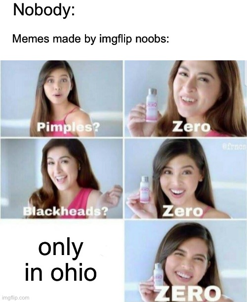 Noobs (or whatever you’d call them on imgflip) just put “only in ohio” in places where it doesn’t make sense | Nobody:; Memes made by imgflip noobs:; only in ohio | image tagged in pimples zero | made w/ Imgflip meme maker