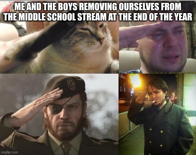 Ozon's Salute | ME AND THE BOYS REMOVING OURSELVES FROM THE MIDDLE SCHOOL STREAM AT THE END OF THE YEAR | image tagged in ozon's salute | made w/ Imgflip meme maker