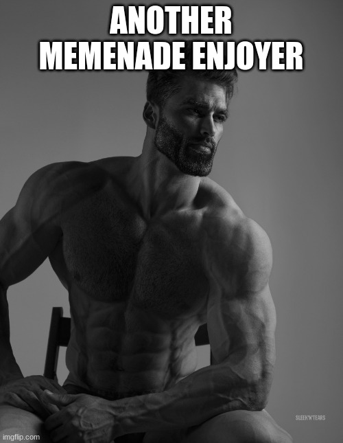 Giga Chad | ANOTHER MEMENADE ENJOYER | image tagged in giga chad | made w/ Imgflip meme maker