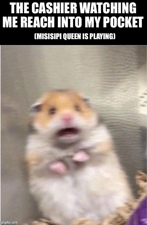 .:. | THE CASHIER WATCHING ME REACH INTO MY POCKET; (MISISIPI QUEEN IS PLAYING) | image tagged in scared hamster,memes,music,money | made w/ Imgflip meme maker