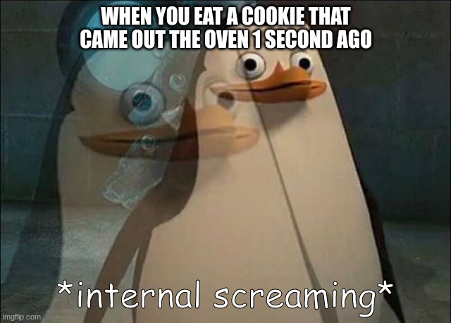 A h h | WHEN YOU EAT A COOKIE THAT CAME OUT THE OVEN 1 SECOND AGO | image tagged in private internal screaming | made w/ Imgflip meme maker