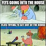 flys be like | FLYS GOING INTO THE HOUSE | made w/ Imgflip meme maker