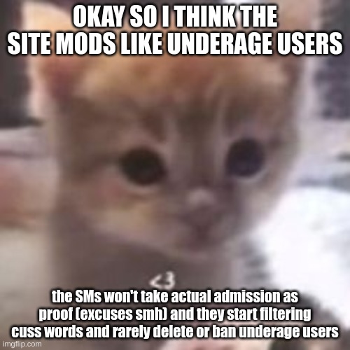 maybe they like them because they are more users and more users = profit?? or i think they just don't care about imgflip at all | OKAY SO I THINK THE SITE MODS LIKE UNDERAGE USERS; the SMs won't take actual admission as proof (excuses smh) and they start filtering cuss words and rarely delete or ban underage users | image tagged in cat heart | made w/ Imgflip meme maker