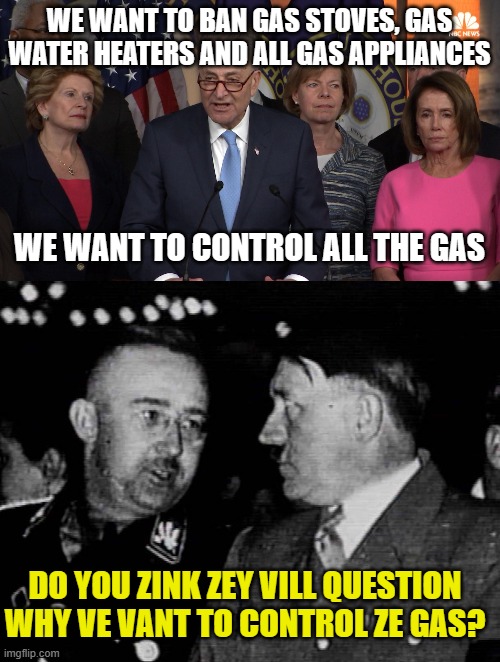 WE WANT TO BAN GAS STOVES, GAS WATER HEATERS AND ALL GAS APPLIANCES; WE WANT TO CONTROL ALL THE GAS; DO YOU ZINK ZEY VILL QUESTION WHY VE VANT TO CONTROL ZE GAS? | image tagged in democrat congressmen,grammar nazis himmler and hitler | made w/ Imgflip meme maker