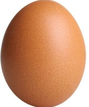 Egg Blank Meme Template