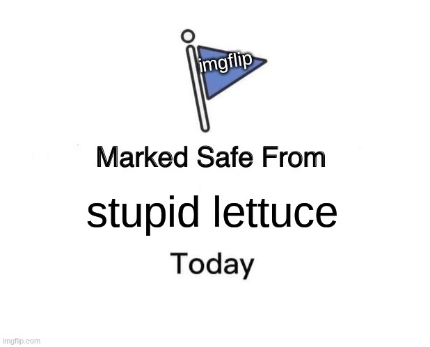 uwhoraoihoriaheoifladknlfiw'rhfkwoqhbjeskldjhnebjrf | imgflip; stupid lettuce | image tagged in memes,marked safe from | made w/ Imgflip meme maker