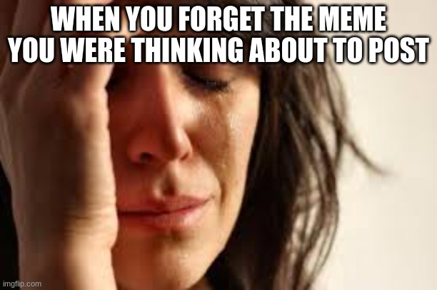 so true | WHEN YOU FORGET THE MEME YOU WERE THINKING ABOUT TO POST | image tagged in crying lady,relatable,sad | made w/ Imgflip meme maker