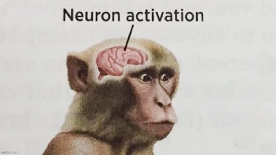 neuron activation | image tagged in neuron activation | made w/ Imgflip meme maker