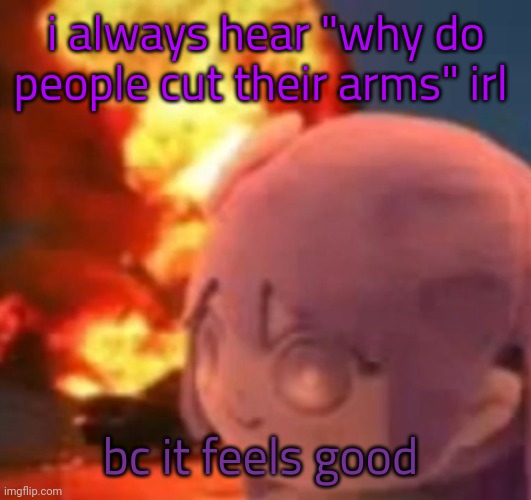 hi how are y'all | i always hear "why do people cut their arms" irl; bc it feels good | image tagged in msmg | made w/ Imgflip meme maker