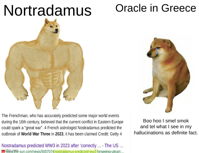 The french have done it | Nortradamus; Oracle in Greece; Boo hoo I smel smok and tel what I see in my hallucinations as definite fact. | image tagged in memes,buff doge vs cheems | made w/ Imgflip meme maker