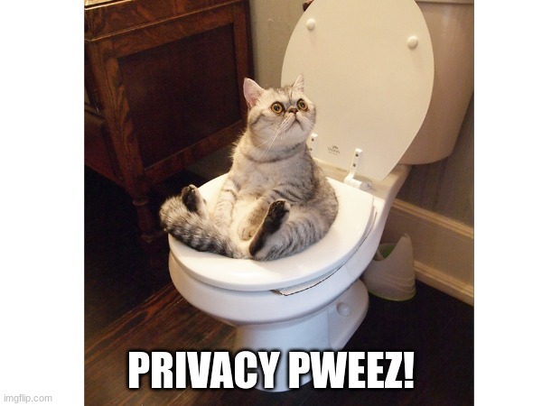 PRIVACY PWEEZ! | image tagged in cat,toilet,pooping,why are you reading the tags | made w/ Imgflip meme maker