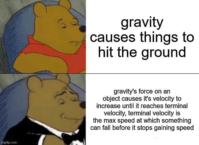 scientists explaining gravity | gravity causes things to hit the ground; gravity's force on an object causes it's velocity to increase until it reaches terminal velocity, terminal velocity is the max speed at which something can fall before it stops gaining speed | image tagged in memes,tuxedo winnie the pooh | made w/ Imgflip meme maker