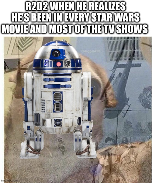 R2D2 WHEN HE REALIZES HE’S BEEN IN EVERY STAR WARS MOVIE AND MOST OF THE TV SHOWS | image tagged in ptsd chihuahua | made w/ Imgflip meme maker