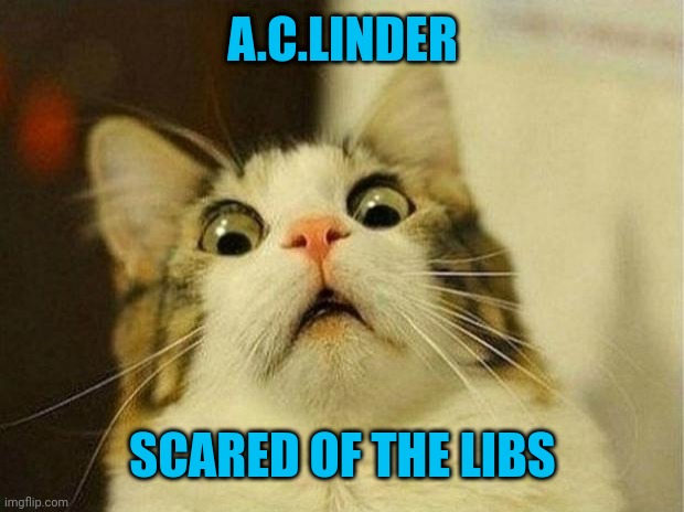 Scared Cat Meme | A.C.LINDER SCARED OF THE LIBS | image tagged in memes,scared cat | made w/ Imgflip meme maker