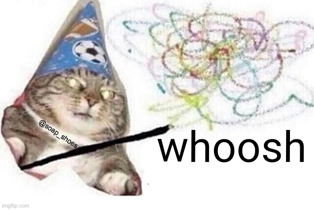 Woosh cat | image tagged in woosh cat | made w/ Imgflip meme maker