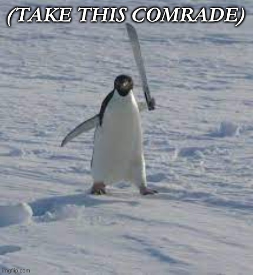 a penguin holding a machete | (TAKE THIS COMRADE) | image tagged in a penguin holding a machete | made w/ Imgflip meme maker