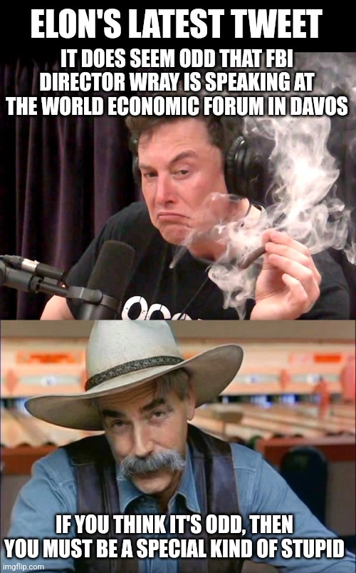 FBI is a deep state tool for globalists! | ELON'S LATEST TWEET; IT DOES SEEM ODD THAT FBI DIRECTOR WRAY IS SPEAKING AT THE WORLD ECONOMIC FORUM IN DAVOS; IF YOU THINK IT'S ODD, THEN YOU MUST BE A SPECIAL KIND OF STUPID | image tagged in elon musk weed,sam elliott special kind of stupid | made w/ Imgflip meme maker