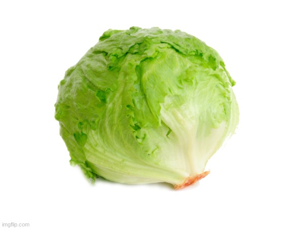 cabbage | image tagged in cabbage | made w/ Imgflip meme maker