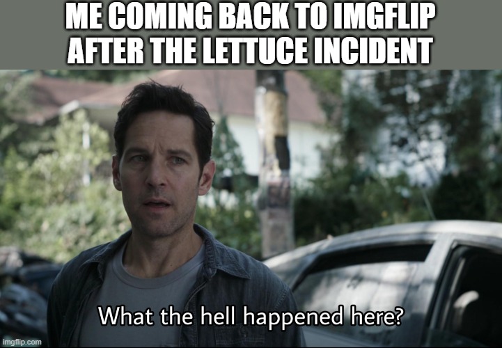 like for real | ME COMING BACK TO IMGFLIP AFTER THE LETTUCE INCIDENT | image tagged in what the hell happened here | made w/ Imgflip meme maker