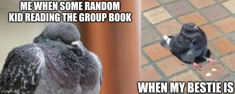 ok but tru | ME WHEN SOME RANDOM KID READING THE GROUP BOOK; WHEN MY BESTIE IS | image tagged in friends | made w/ Imgflip meme maker