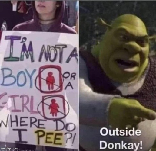 donkey | image tagged in transgender | made w/ Imgflip meme maker
