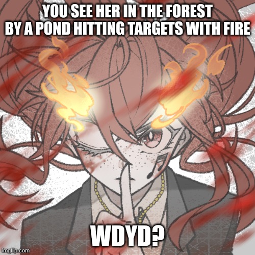 rules in tags | YOU SEE HER IN THE FOREST BY A POND HITTING TARGETS WITH FIRE; WDYD? | image tagged in no joke,erp in memechat,no killing | made w/ Imgflip meme maker