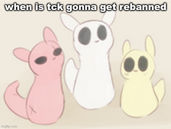 fellow gamers | when is tck gonna get rebanned | image tagged in fellow gamers | made w/ Imgflip meme maker