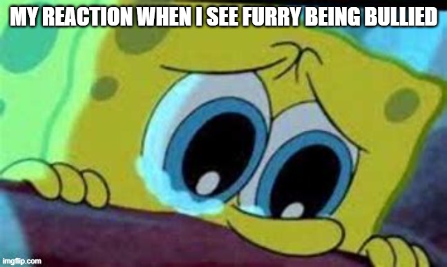 my empathy for the furry fandom | MY REACTION WHEN I SEE FURRY BEING BULLIED | made w/ Imgflip meme maker