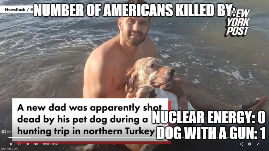 Shot by Own Dog | NUMBER OF AMERICANS KILLED BY:; NUCLEAR ENERGY: 0
DOG WITH A GUN: 1 | image tagged in shot by own dog | made w/ Imgflip meme maker