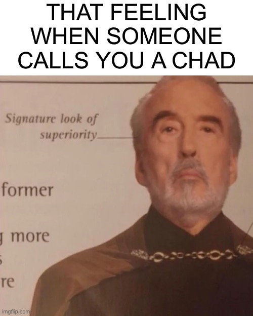 Can anyone relate? | THAT FEELING WHEN SOMEONE CALLS YOU A CHAD | image tagged in signature look of superiority,relatable,funny,memes,funny memes | made w/ Imgflip meme maker