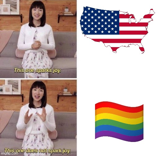 one of them is valid and stands for actual pride. The other is made up and a ligament of your imagination | image tagged in this one sparks joy | made w/ Imgflip meme maker