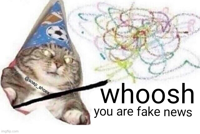 Woosh cat | image tagged in woosh cat | made w/ Imgflip meme maker