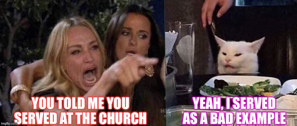 HOW COULD YOU? | YOU TOLD ME YOU SERVED AT THE CHURCH; YEAH, I SERVED AS A BAD EXAMPLE | image tagged in woman yelling at cat | made w/ Imgflip meme maker