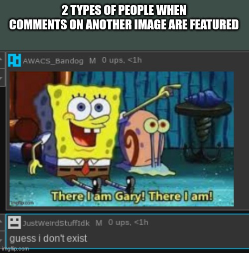 2 TYPES OF PEOPLE WHEN COMMENTS ON ANOTHER IMAGE ARE FEATURED | made w/ Imgflip meme maker