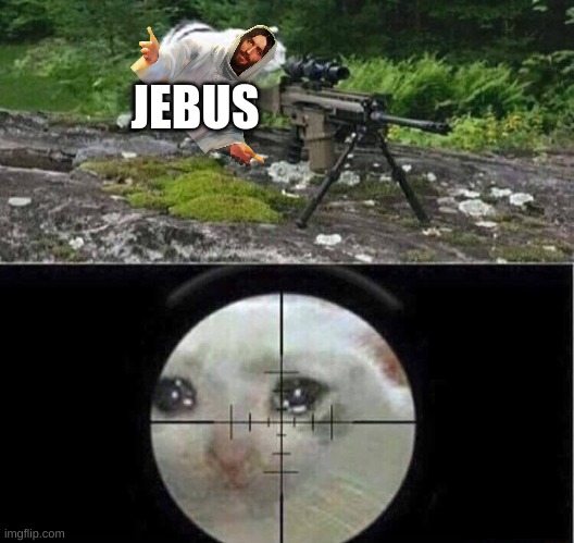 Sniper cat | JEBUS | image tagged in sniper cat | made w/ Imgflip meme maker