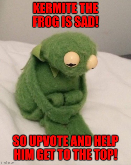 Upvote and help Kermit get to the top! | KERMITE THE FROG IS SAD! SO UPVOTE AND HELP HIM GET TO THE TOP! | image tagged in please help me | made w/ Imgflip meme maker