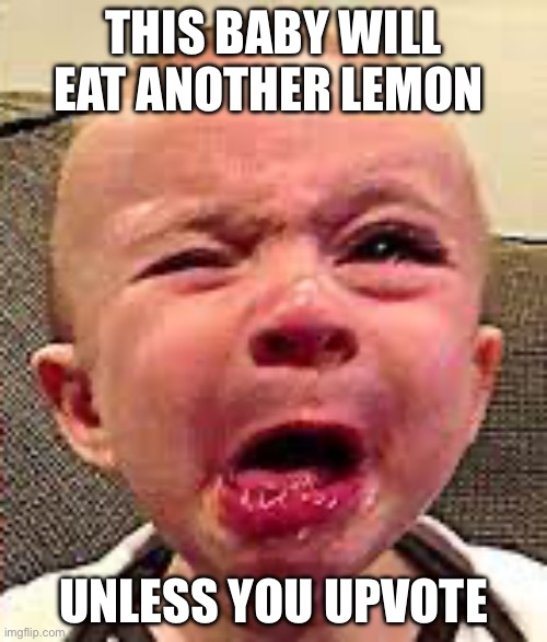 THIS BABY WILL EAT ANOTHER LEMON; UNLESS YOU UPVOTE | image tagged in baby,lemon | made w/ Imgflip meme maker