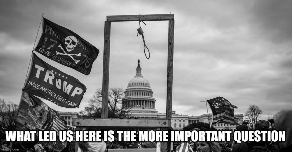 Capitol Hill riot gallows | WHAT LED US HERE IS THE MORE IMPORTANT QUESTION | image tagged in capitol hill riot gallows | made w/ Imgflip meme maker