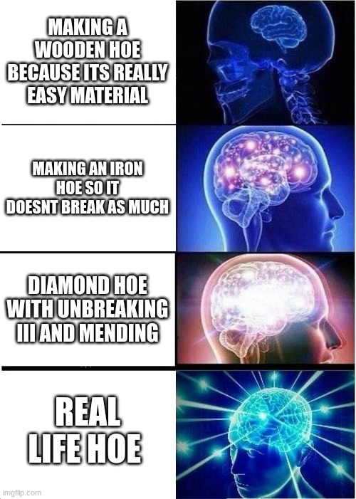 Expanding Brain | MAKING A WOODEN HOE BECAUSE ITS REALLY EASY MATERIAL; MAKING AN IRON HOE SO IT DOESNT BREAK AS MUCH; DIAMOND HOE WITH UNBREAKING III AND MENDING; REAL LIFE HOE | image tagged in memes,expanding brain | made w/ Imgflip meme maker