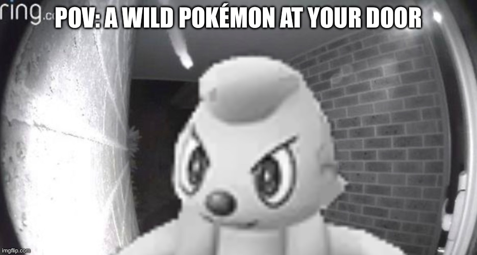 Timburr at the Door | POV: A WILD POKÉMON AT YOUR DOOR | image tagged in door,pokemon,cursed image | made w/ Imgflip meme maker