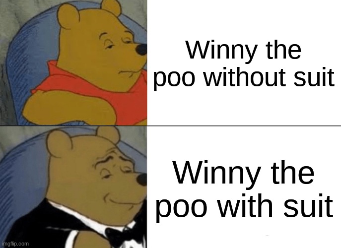 Tuxedo Winnie The Pooh Meme | Winny the poo without suit; Winny the poo with suit | image tagged in memes,tuxedo winnie the pooh | made w/ Imgflip meme maker